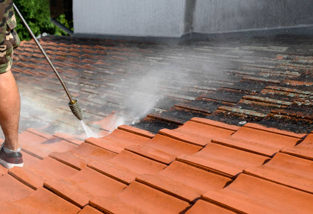 Best Garage Pressure Washing  in Pine Hills, FL