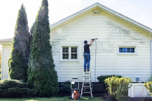 Best Exterior Home Cleaning  in Pine Hills, FL