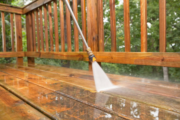 Best Concrete Pressure Washing  in Pine Hills, FL