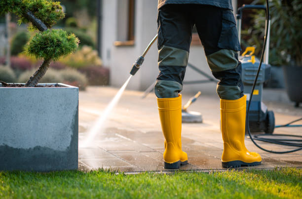 Best Power Washing Near Me  in Pine Hills, FL